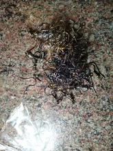 Ganchos de los pendientes, accesorios de aleación para fabricación de joyas, pendientes de gancho con forma de gota, 17x20mm, 100 Uds.