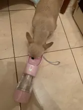 Botella de agua portátil para perros, cuenco alimentador de comida y agua, para viajes al aire libre