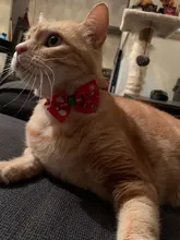 Collar navideño para perros y gatos, pajarita para perro, correa ajustable para el cuello, accesorios de aseo para perros y cachorros