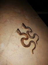 Joyería Europea personalidad distorsionada serpiente geométrica mujer exagerada en relieve Stud pendientes