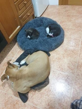 Cama de perro caliente suave y larga de felpa, caseta redonda mullidas de gato, sofá, casa, cojín para dormir cómodo, lavable, para cachorro, Invierno