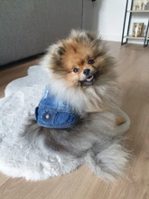 Chaleco vaquero de primavera para perros pequeños, ropa de Tzu para perros Yorkshire Terrier, ropa estilo vaquero para cachorros, chaqueta para Chihuahua, ropa para gatos