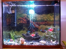 Ornament Jellyfish Aquarium-Decoration Fish-Tank Aquatic-Landscape Underwater-Live-Plant