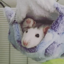 Hammock For Hamster Ferret Rabbit Animals Small Cotton Sleep Nest House Hanging Pet Hammock