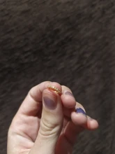 Pendientes de plata de ley 2020 para mujer, aretes de cristal ostentoso, pendiente de aro de cartílago, hebilla para Piercing para el hueso del oído, 925