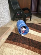 Juguete de túnel para mascotas, tubos de juego con 2 agujeros, bolas plegables, antiarrugas, para cachorros, hurones y conejos