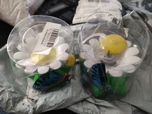 Juguete eléctrico rotatorio automático para gatos, juguetes de entrenamiento interactivos de plástico con forma de mariposa, pájaro y Animal