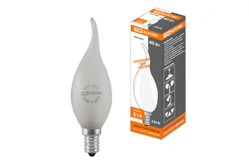 Incandescent lamp "Candle in the Wind" matte 40 W-230 V-E14 TDM 
Incandescent lamp "Candle in the Wind" matte 40 W-230 V-E14 TDM