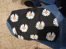 Ropa para mascotas ropa de primavera y novedad de verano de viaje de estilo impreso Camiseta de manga corta ropa pequeño cachorro perro mascota T camisa chaleco