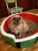 1pc Cute Kennel House Warm Cotton Watermelon Modeling Dog Bed Mat Sofa Pet Cat Bed