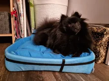 Plush-Cushion Puppy-Mat Pet-Bed Kennel Dogs Small Large Cute Cat Round Tyteps Warm