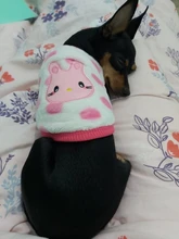 Ropa de franela con dibujos animados para cachorros, chaleco grueso y suave de invierno para bebés y mascotas, ropa para perros, a la moda, XXXS/XXS/XS