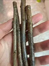 Stick Hamster Rich-Taste-Toys Apple-Tree-Branch Rabbits Natural Parrots Chew Squirrel