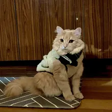 Scarf Jacket Dogs French Bulldog Winter Plush-Coat Pet-Dog Cotton Warm Thick for Puppy-Ropa-Perro