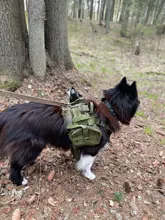 Chaleco táctico para perro, ropa de perro militar transpirable, arnés K9, tamaño ajustable, entrenamiento, caza, Molle, arnés táctico para perro