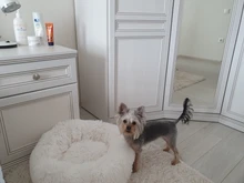 Cama de perro suave juguetes de peluche Donut sátiro ronda perro perrera Ultra lavables suaves perro gato cojín de cama de sofá cálido Venta caliente
