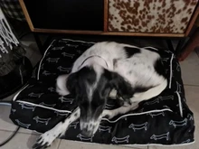 Bed Sofa Dog-Bed Large Dog Waterproof Cat-Mat Animal-Pattern Small Soft for Medium