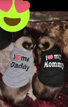 Ropa de gato para primavera y verano, chaleco estampado para mascotas a la moda, ropa divertida para gatos, 11C40S3