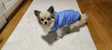 Clothing Jacket Puppy-Coat Dogs Pet-Chihuahua Winter Yorkshire Small Medium Pug for Schnauzer