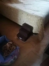 Escalera antideslizante extraíble de 3 escalones para perros y gatos pequeños, escalera de cama desmontable de 35x30x30cm