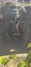 BIO-SPONGE-FILTER Air-Pump Aquarium Fish-Tank 1pcs