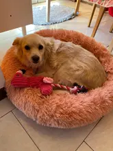 Cama de perro suave juguetes de peluche Donut sátiro ronda perro perrera Ultra lavables suaves perro gato cojín de cama de sofá cálido Venta caliente