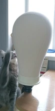 Alileader-Cabeza de MANIQUÍ PARA pelucas, soporte para pelucas, cabeza de lona, bloque de exhibición, gorras de calcetín gratis