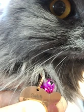 Placas de identificación personalizadas para perros, placas de identificación de Metal para cachorros, placas de identificación antipérdida para perros, gatos Pitbull, tarifa de grabado incluida accesorios para perros