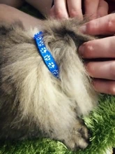 Gato Collar campana Cat pata impresión Collar ajustable cómodo Collar gato Collar para mascotas juguete Bell accesorios para perros y gatos 10 colores