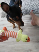 Juguetes Para Perros resistentes a las mordeduras, baquetas de pollo creativas, juego de mascotas, juguetes para masticar para perros, cachorros