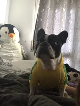 Sweatshirt Hooded Adidog Four-Seasons Pet-Jacket Small Cotton Warm And Medium-Sized Hot-Sale