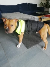 Jacket Puppy-Clothing Dog-Coat Dogs Golden-Retriever Waterproof Winter Pet-Vest Small