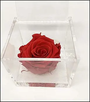 1060 pink cube stabilized fragrant red 6cm 6x6x6, the cube with a real rose that lasts even longer than 5 years, Prem
1060 pink cube stabilized fragrant red 6cm 6x6x6, the cube with a real rose that lasts even longer than 5 years, Prem