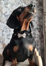 Leash-Dog-Accessories Necklace Pet-Collar Puppy Rhinestone Cats Small Dogs Bling Crystal-Bow