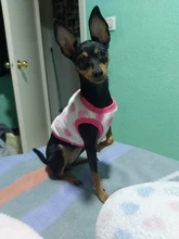 Ropa de franela con dibujos animados para cachorros, chaleco grueso y suave de invierno para bebés y mascotas, ropa para perros, a la moda, XXXS/XXS/XS