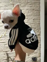 Sweatshirt Hooded Adidog Four-Seasons Pet-Jacket Small Cotton Warm And Medium-Sized Hot-Sale
