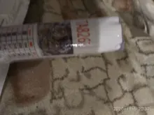 Evershine Diamond Painting-Animals Cross-Stitch Home-Decoration Mosaic Square with Embroidery