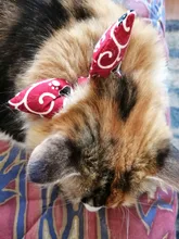 Gato Collar con lazo pajarita Collar de gato para gatos y perros pequeños accesorios gato-Collar gatos y mascotas productos Chihuahua corbata de moño Collar