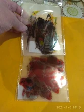 Pegatinas transparentes de PVC de simulación para álbum diario, pegatinas decorativas de animales, mariposas y pájaros, bosque creativo, 30 Uds.