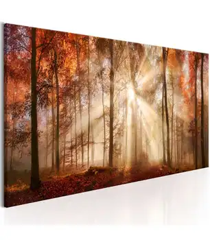 Picture-autumn Dawn
Picture-autumn Dawn