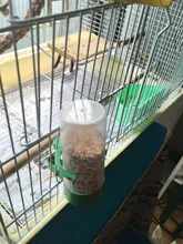 Alimentador de aves, bebedero para mascotas, Clip para equipo agrícola, tamaño: M, 4 unids/lote