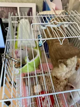 Hammock Rat House Hamster-Accessories Hanging Banana-Shape Warm Nest Tree-Beds Novelty