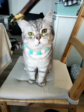 Bola de peluche de Collar para perros y gatos Collar dulce bufanda para perro lindo gatito accesorios Rosa correa para el cuello perrito con perla perro Pug Chihuahua