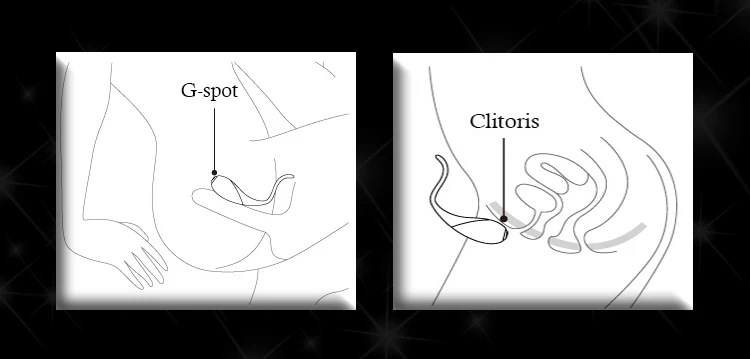 Как Использовать Вибратор Точки G