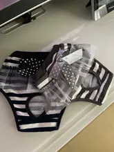 Pantalones fisiológicos sanitarios para mascotas, pañal lavable para perros, bragas, ropa interior para menstruación