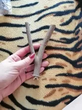 Pet Parrot Raw Wood Fork Stand Rack Toy 1Pcs 15cm Branch Perches For Bird Hamster Cage