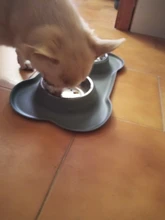 Cuenco antideslizante doble para perro con alfombrilla de silicona, cuencos de Alimentación de Mascotas duraderos de acero inoxidable Alimentador de agua para perros y gatos