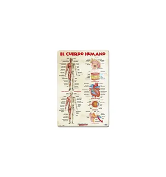 LAMINA educational the human body
LAMINA educational the human body