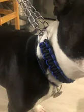 Collar de Color mejorado de alta calidad para perros grandes, Pastor Alemán, cadena P, ajustable, para perros medianos y grandes