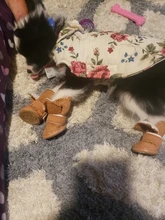 4 Uds. Zapatos de invierno gruesos para mascotas, zapatos antideslizantes para botas, calzado para mascotas, productos para perros pequeños, gatos y cachorros